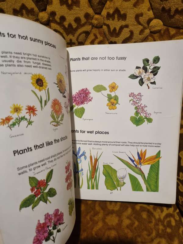 Gardening is Fun!