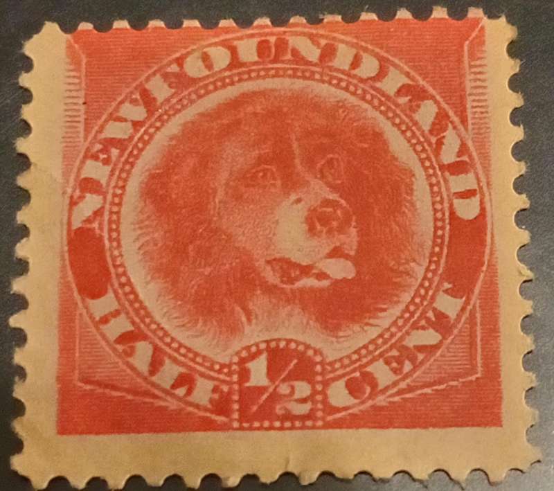 Newfoundland 1887 1/2c Rose-Red SG49