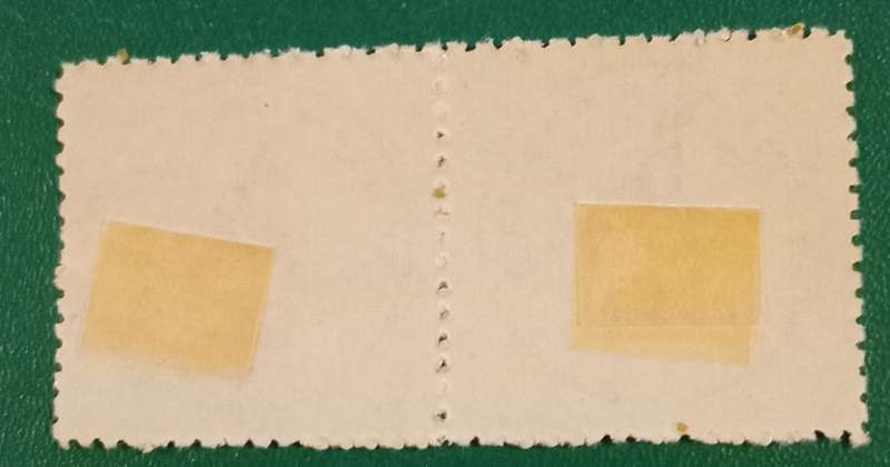 Rhodesia "Prosper with Rhodesia" label in Olive Green Pair