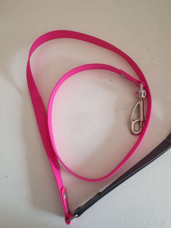 Reddingo PVC Dog leash