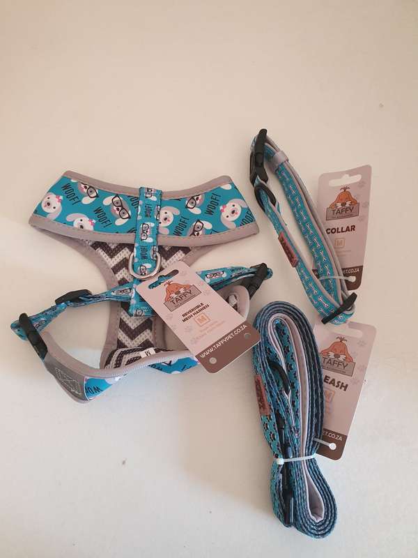 Dog Harness , collar and leash bundle