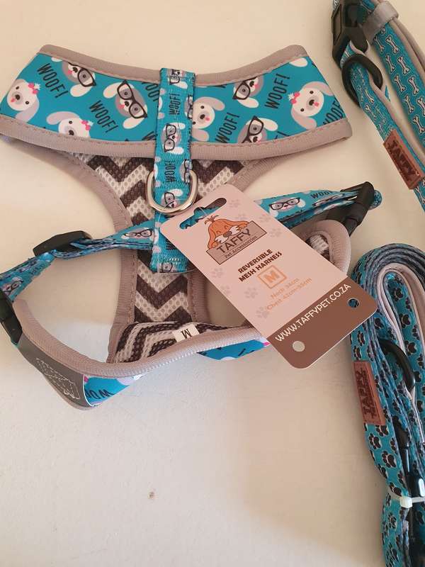 Dog Harness , collar and leash bundle