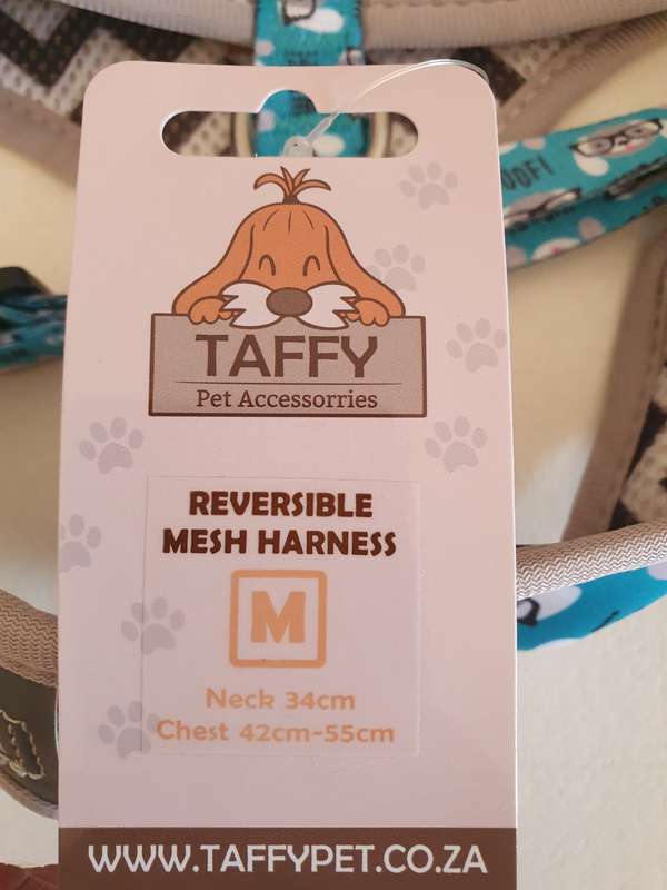 Dog Harness , collar and leash bundle