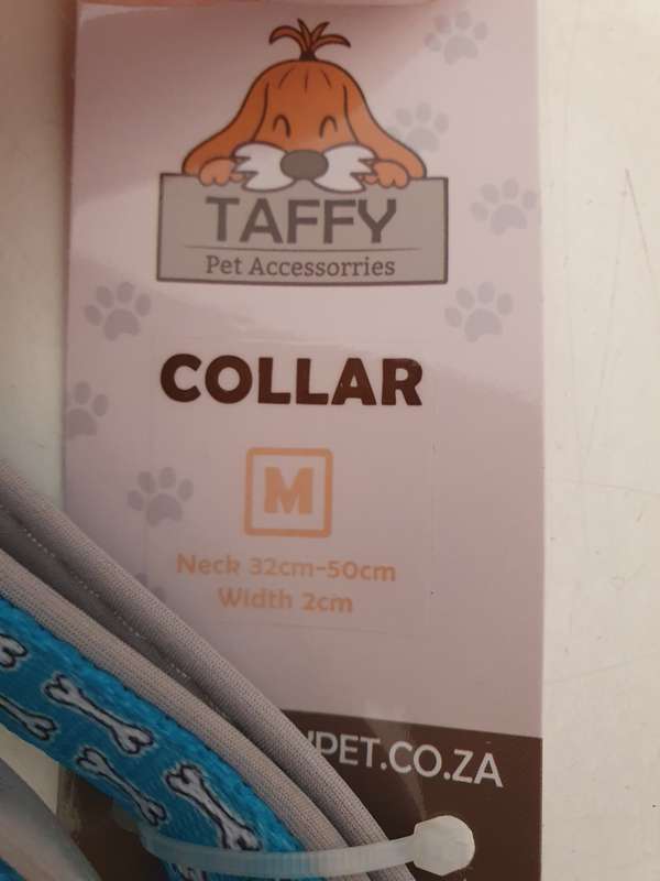Dog Harness , collar and leash bundle