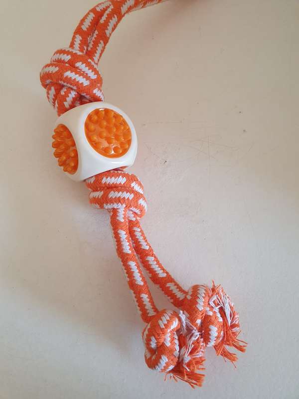 Rosewood Tough Twist Dog Toy