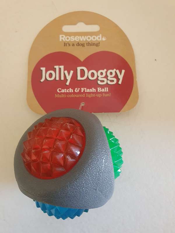 Rosewood Jolly Doggy Dog Toy