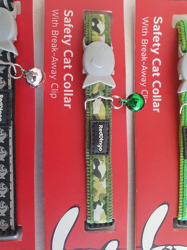 4 x Red Dingo Cat Collars
