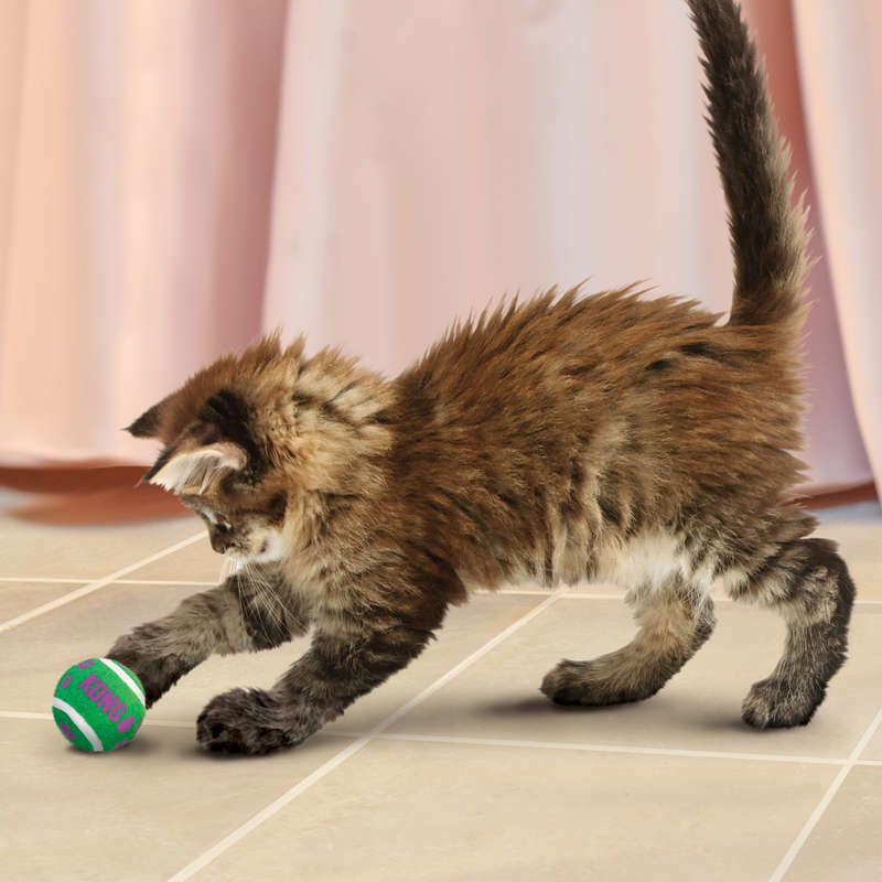 Kong Cat Tennis Balls With Bells