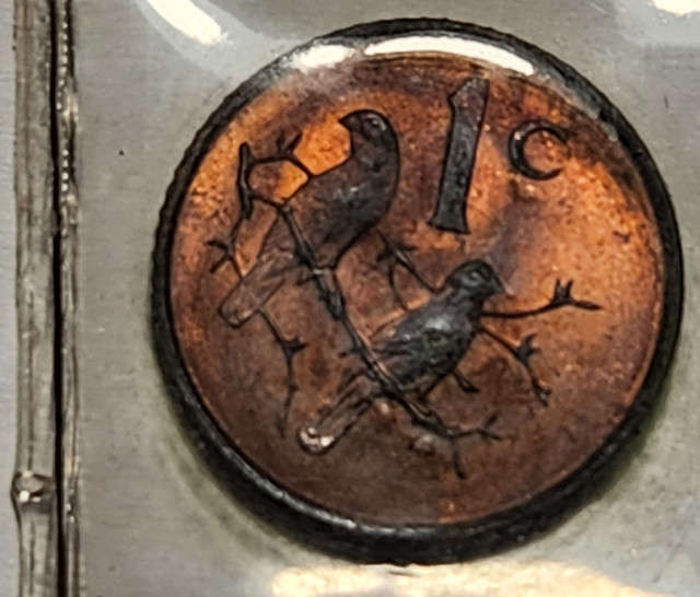 1c (ONE) Cent - 1968 - Afrikaans - Mint pack coin - UNC - Great Coin !