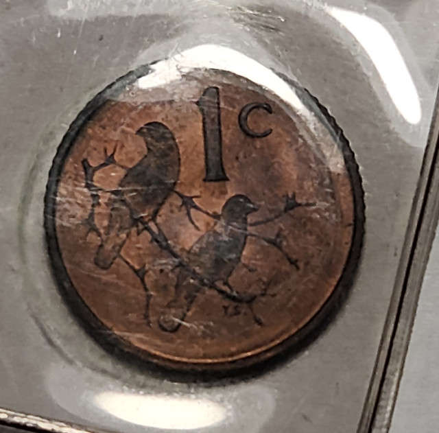 1c (ONE) Cent - 1967 - Afrikaans - Mint pack coin - UNC - Great Coin !