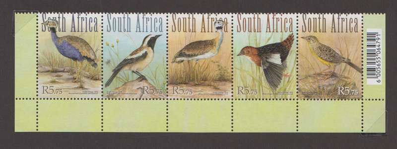 RSA - Grassland Birds of SA - Setenant Strip (SACC 2081-2085)