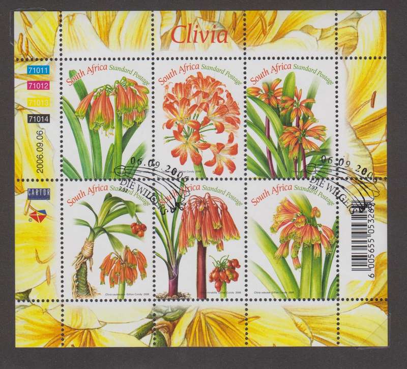 RSA - Clivias - CTO Sheetlet (SACC 1789)