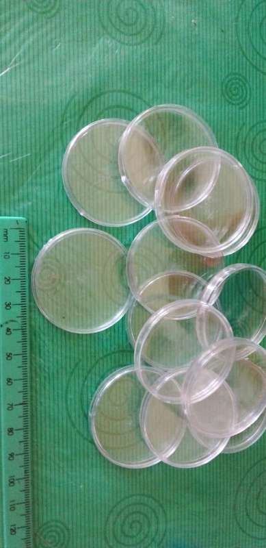 thirteen plastic coin capsules.42mm