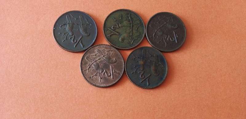 SOUTH AFRICA OLD HALF CENT COINS.x5