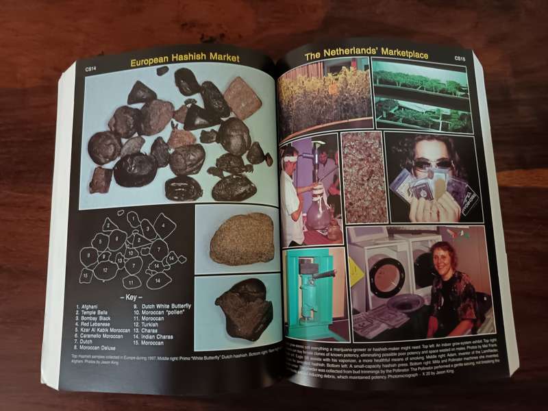 Hashish! by Robert Connell Clarke