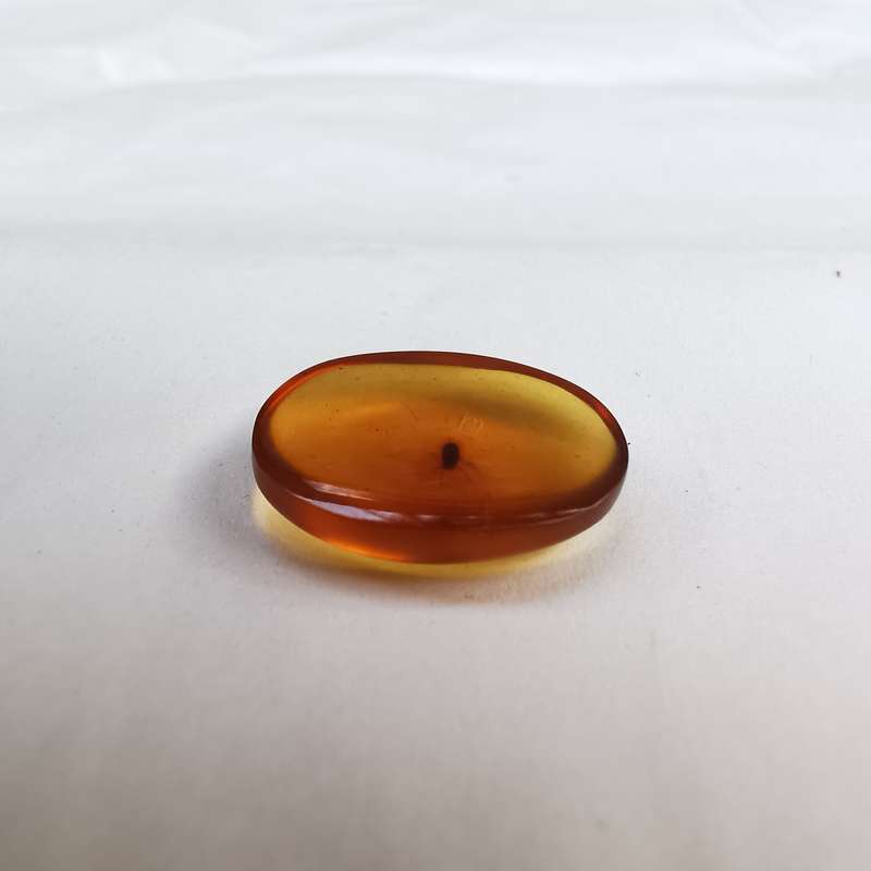 Well preserved insect in Burmese amber