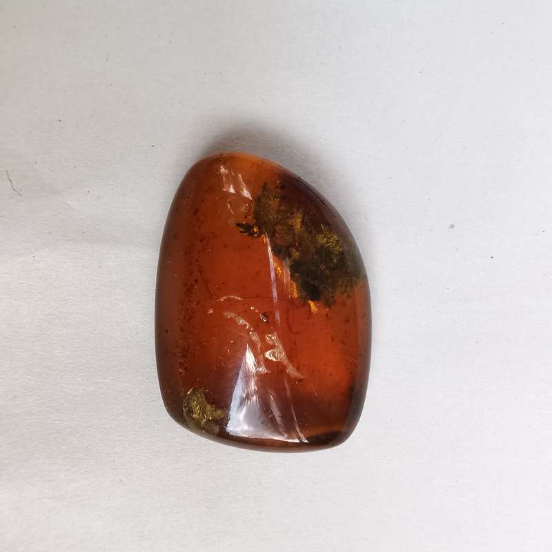 Well preserved insect in Burmese amber