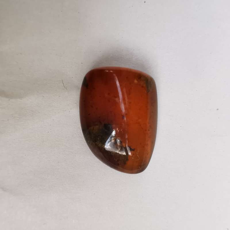 Well preserved insect in Burmese amber