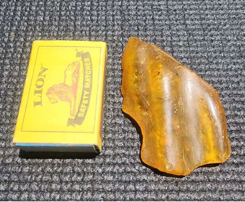 ASTONISHING THREE 25 MILLION YEAR OLD INSECTS (LOOK LIKE MOSQUITOES) IMBEDDED IN DOMINICAN AMBER
