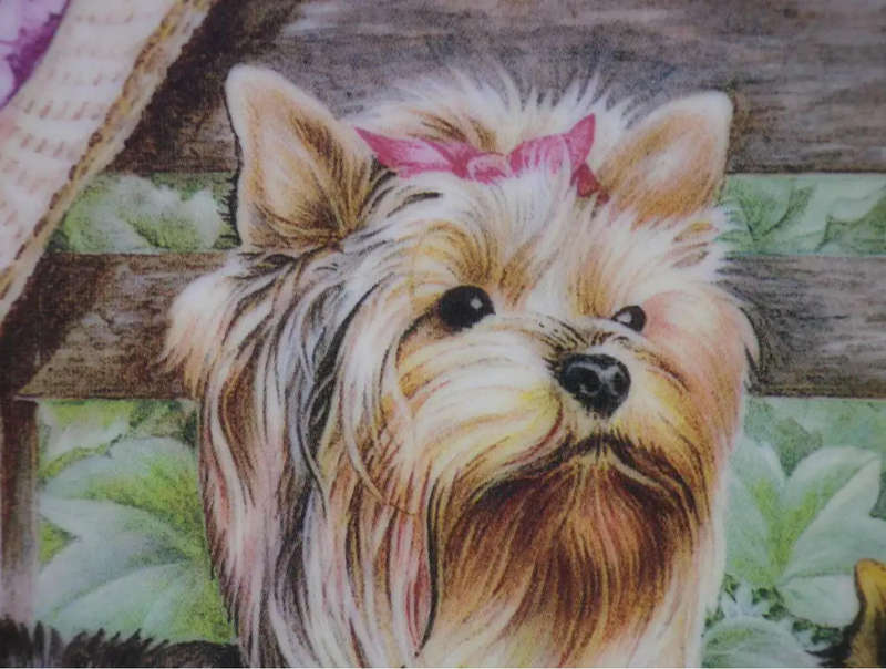 ADORABLE YORKIE DISPLAY PLATE! FINE PORCELAIN MARBELLA ANDALUSIA SPAIN SIGNED M CLEAVER