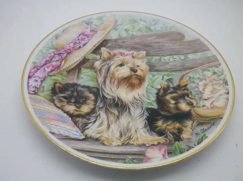 ADORABLE YORKIE DISPLAY PLATE! FINE PORCELAIN MARBELLA ANDALUSIA SPAIN SIGNED M CLEAVER