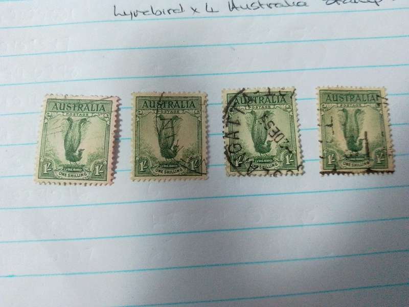 Australia stamps lyrebird x4