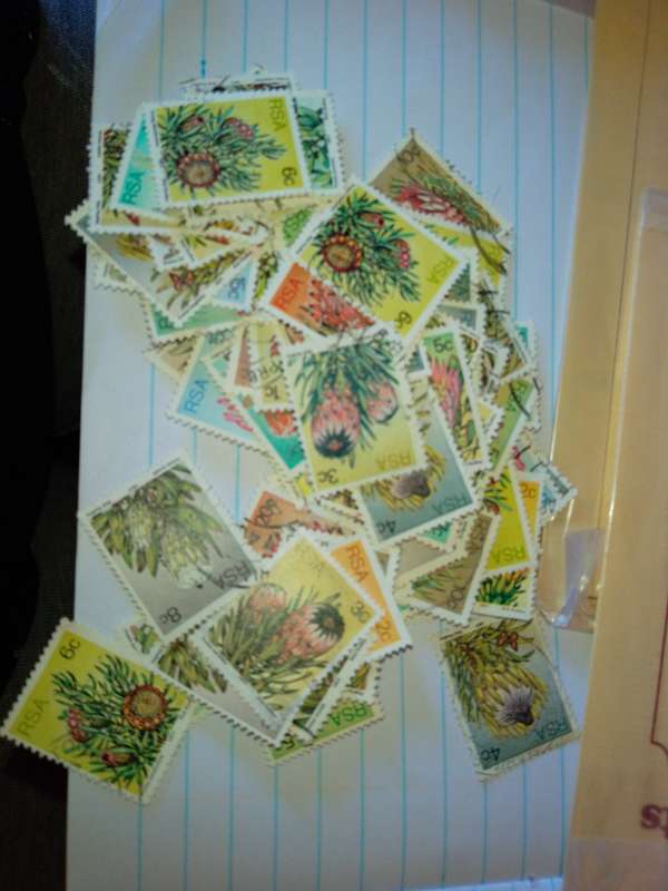 RSA protea stamps 1977