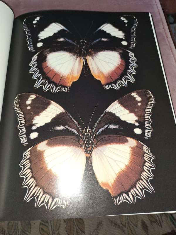 Butterflies and Moths of the World by Eid and Viard, 192 pages hardcover