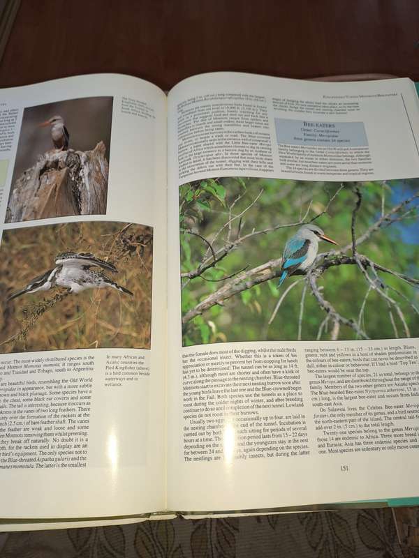 Birds of the World, Richard Coomber, 240 pages