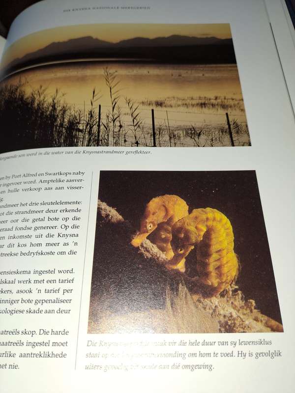 Nasionale Parke van Suid Afrika, 184 pages by Brendan Ryan