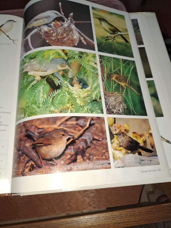 Birds of Southern Africa, photographic guide, 302 pages