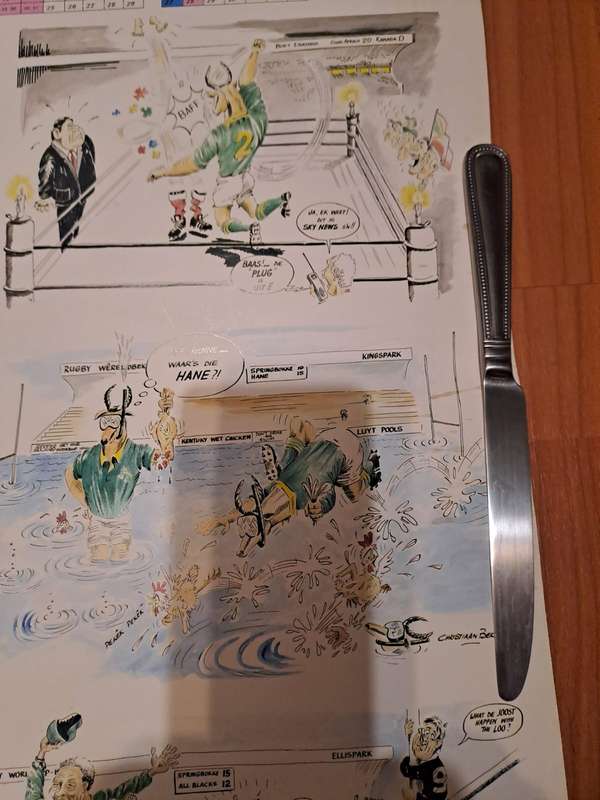1995/96 calender depicting Springbok road to final (nice for framing)