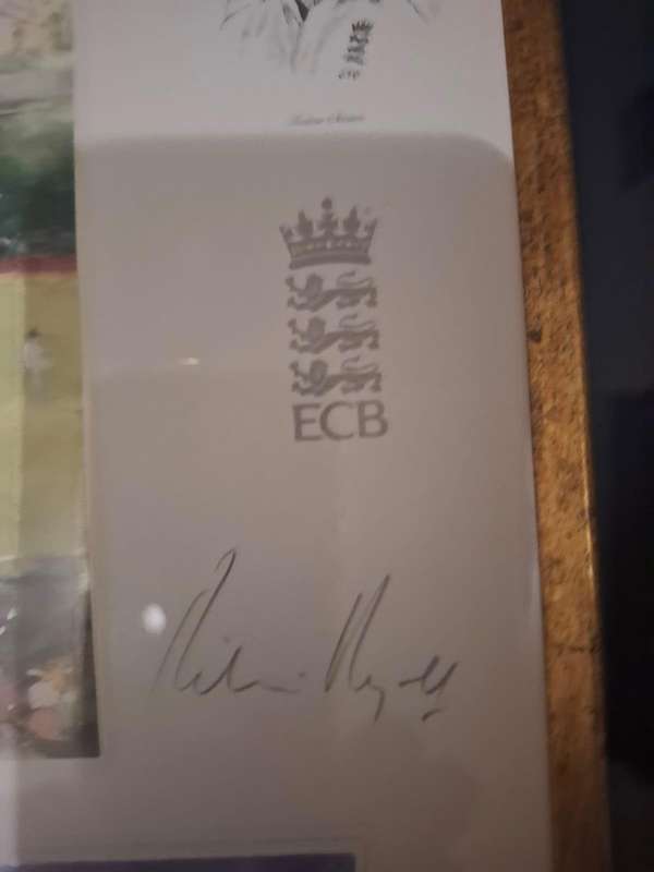 3rd Cricket Test, Newlands 2010, Limited edition print by Richie Ryall (signed) no 293/300
