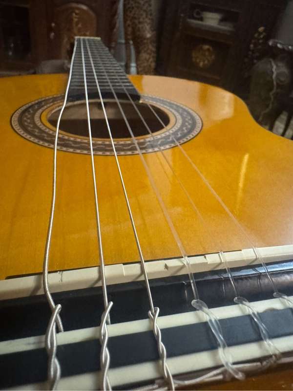 Valencia guitar