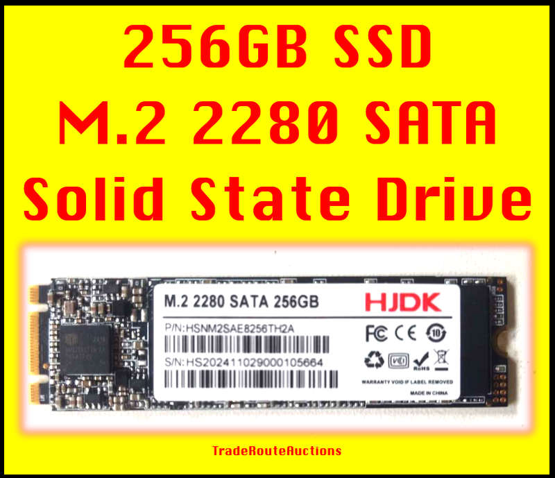 256GB SSD M.2 2280 SATA OEM Solid State Drive