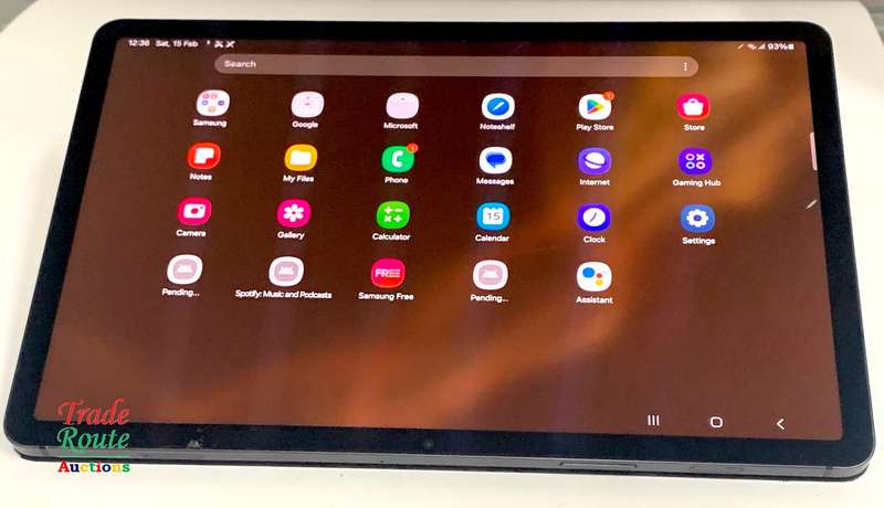 Galaxy Tab S8 SM-X706B 256GB 11-inch 5G Tablet - chipped corner