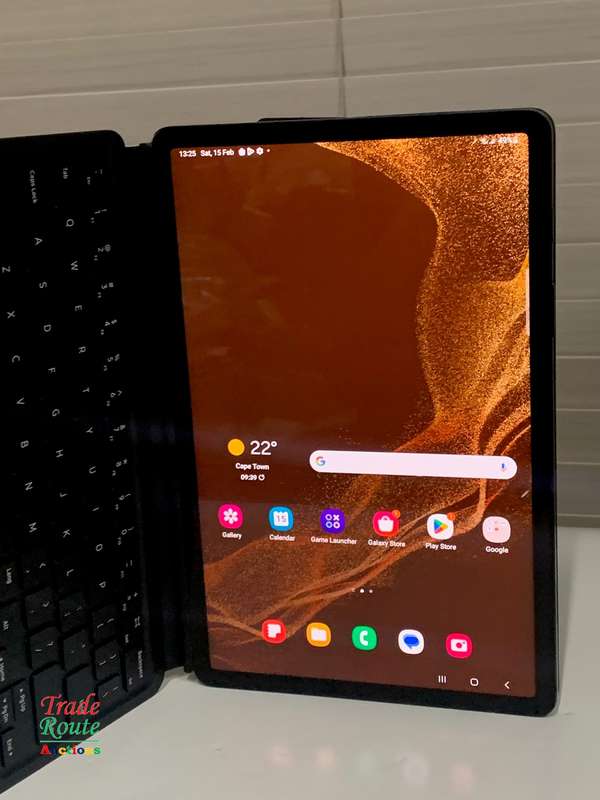 Galaxy Tab S8 SM-X706B 256GB 11-inch 5G Tablet - Cracks at bottom