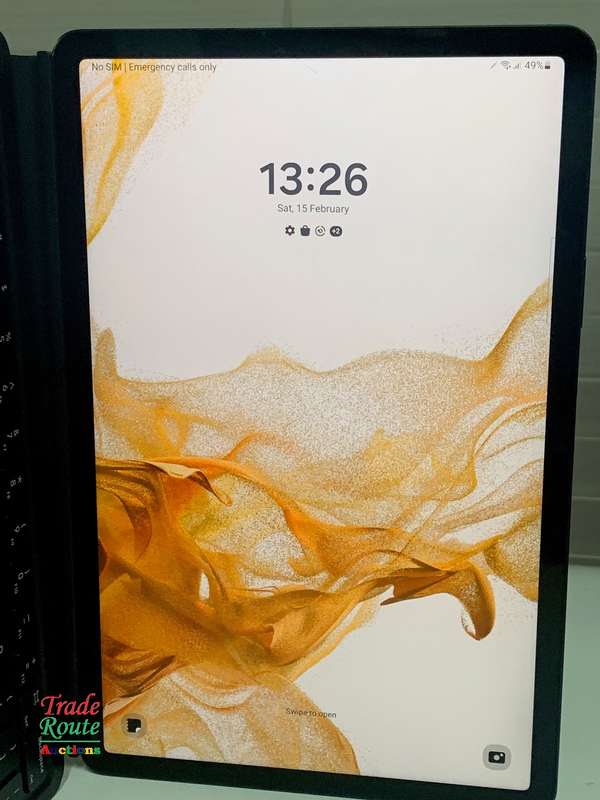 Galaxy Tab S8 SM-X706B 256GB 11-inch 5G Tablet - Cracks at bottom
