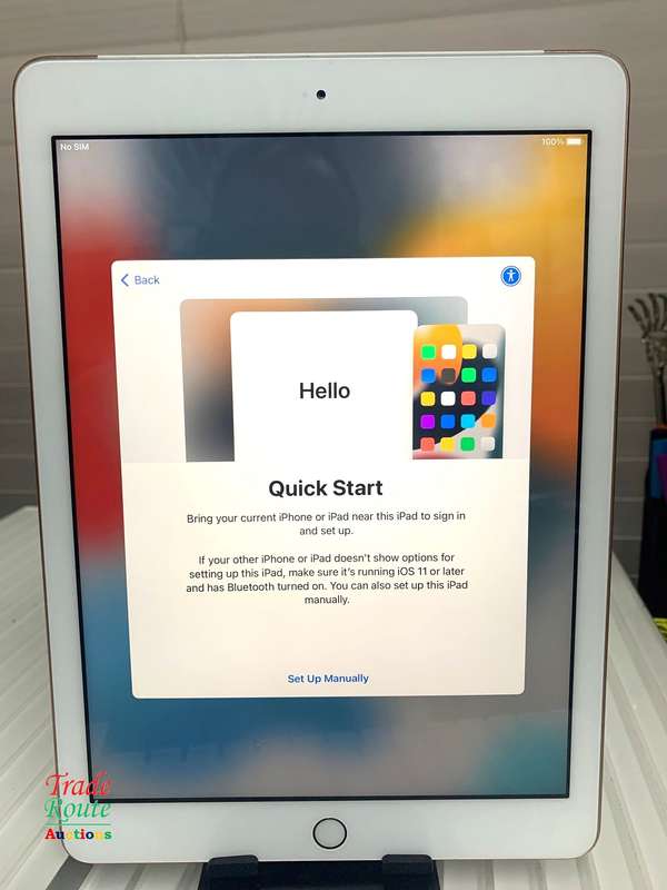 Apple iPad 6th Gen WiFi + Cellular 128GB | Rose Gold | A1954