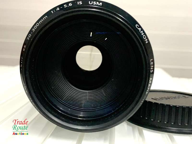 Canon EF 70-300mm IS USM ZOOM LENS for Canon DSLR Cameras