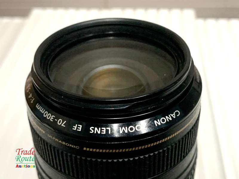 Canon EF 70-300mm IS USM ZOOM LENS for Canon DSLR Cameras