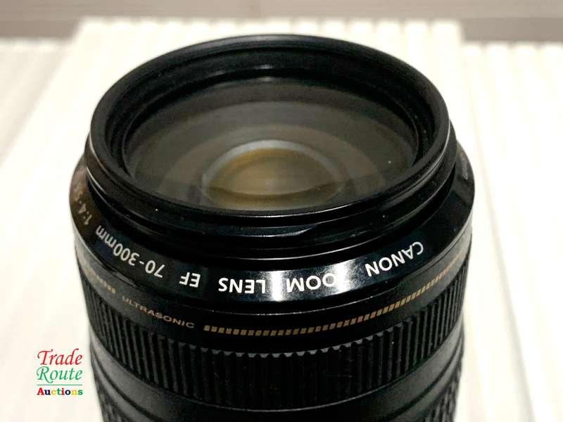 Canon EF 70-300mm IS USM ZOOM LENS for Canon DSLR Cameras
