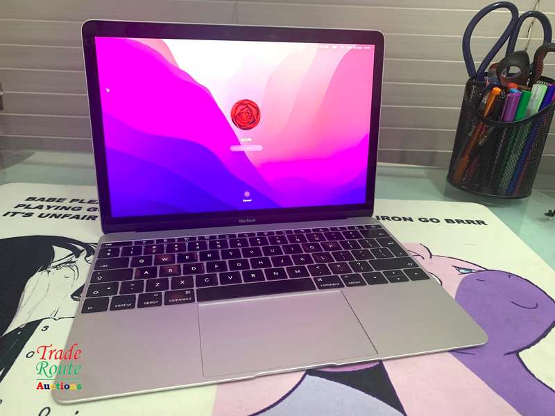 MacBook Core M5 1.2Ghz 12 inch RETINA SILVER (Early 2016 Model) | 8GB RAM | 500GB SSD | 2304x1440