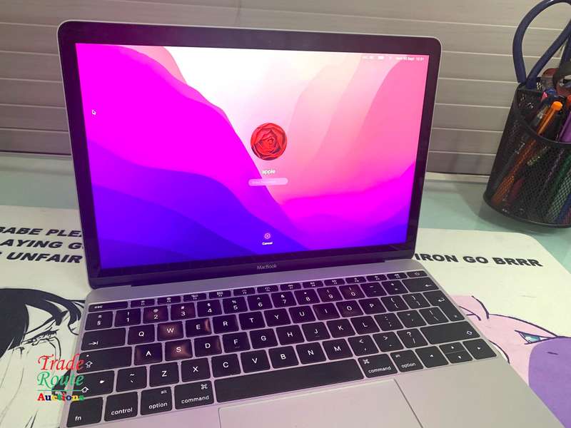 MacBook Core M5 1.2Ghz 12 inch RETINA SILVER (Early 2016 Model) | 8GB RAM | 500GB SSD | 2304x1440