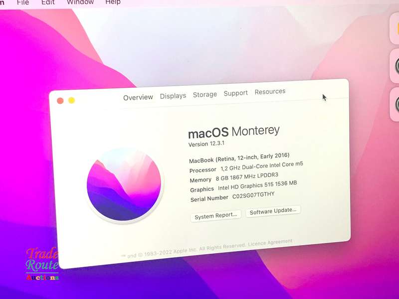 MacBook Core M5 1.2Ghz 12 inch RETINA SILVER (Early 2016 Model) | 8GB RAM | 500GB SSD | 2304x1440