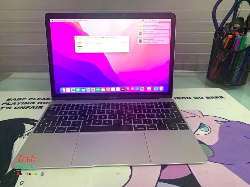 MacBook Core M5 1.2Ghz 12 inch RETINA SILVER (Early 2016 Model) | 8GB RAM | 500GB SSD | 2304x1440