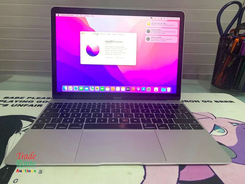 MacBook Core M5 1.2Ghz 12 inch RETINA SILVER (Early 2016 Model) | 8GB RAM | 500GB SSD | 2304x1440