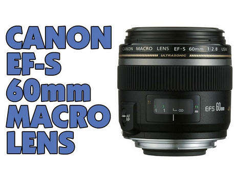 Canon EF-S 60mm f/2.8 USM Lens for Canon DSLR CAMERAS