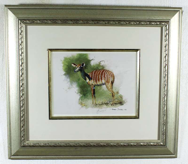 Hennie Griesel - Nyala - Signed print