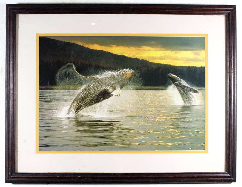 Breaching whales print